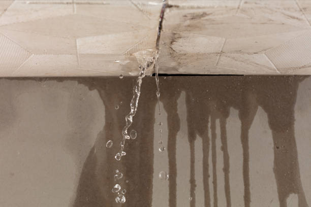 Professional Water Damage Repair technician working in La Vernia, TX